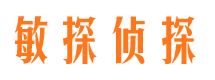 察雅侦探